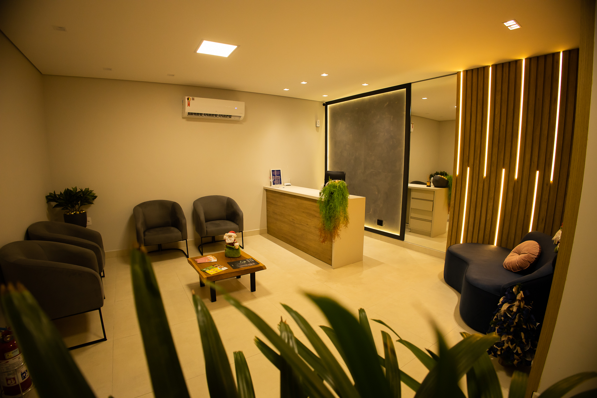 Ethos Estética Campinas 